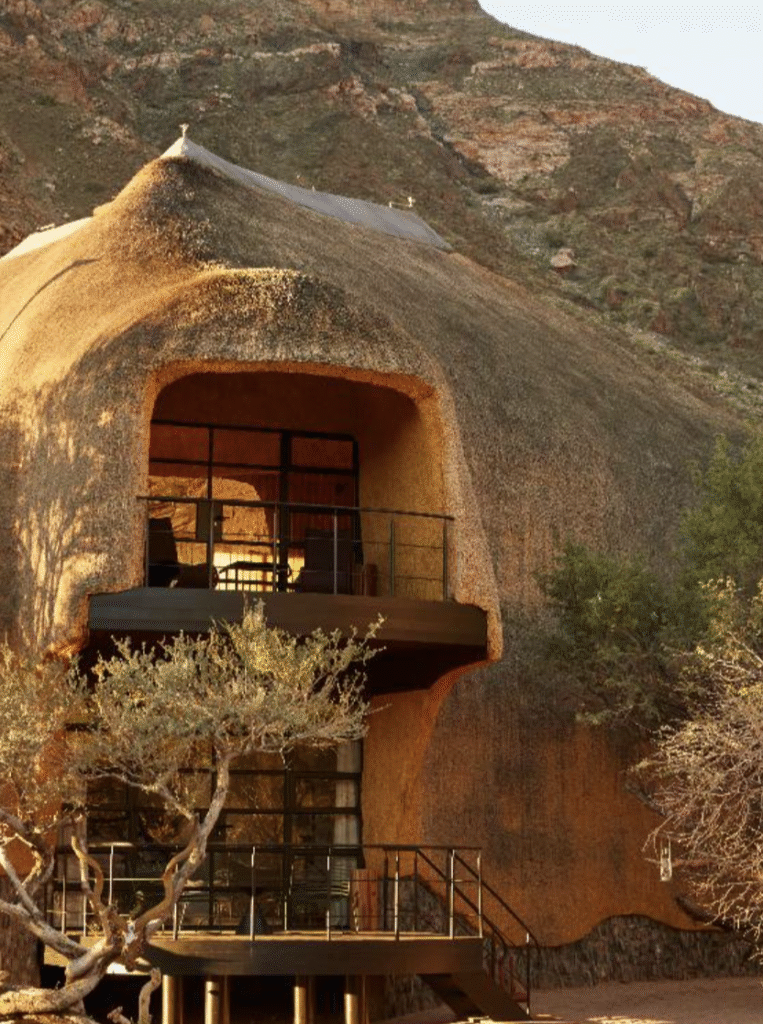 Nids d'oiseaux Porky Hefer