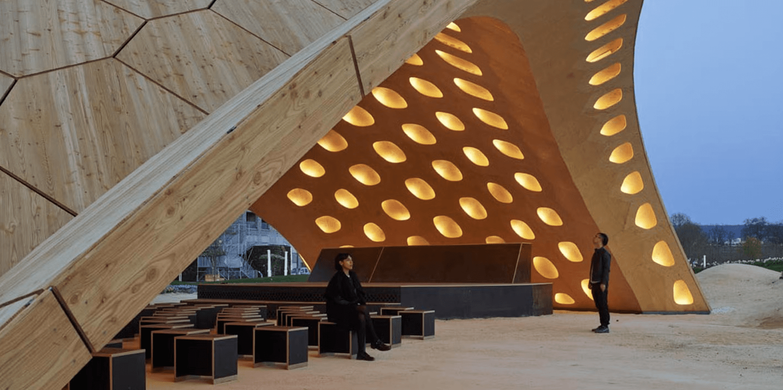 Squelette d’un oursin plat - pavillon BUGA.